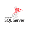 Logotipo de Microsoft SQL Server - Archivo y datos en la nube conectados a Viviseven